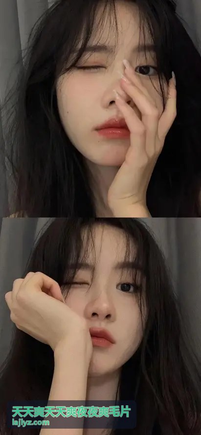 天天爽天天爽夜夜爽毛片新人推荐